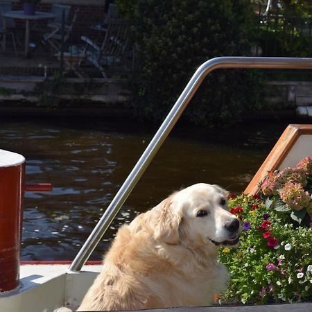 Aurora Bed and Breakfast Schiedam Exteriör bild