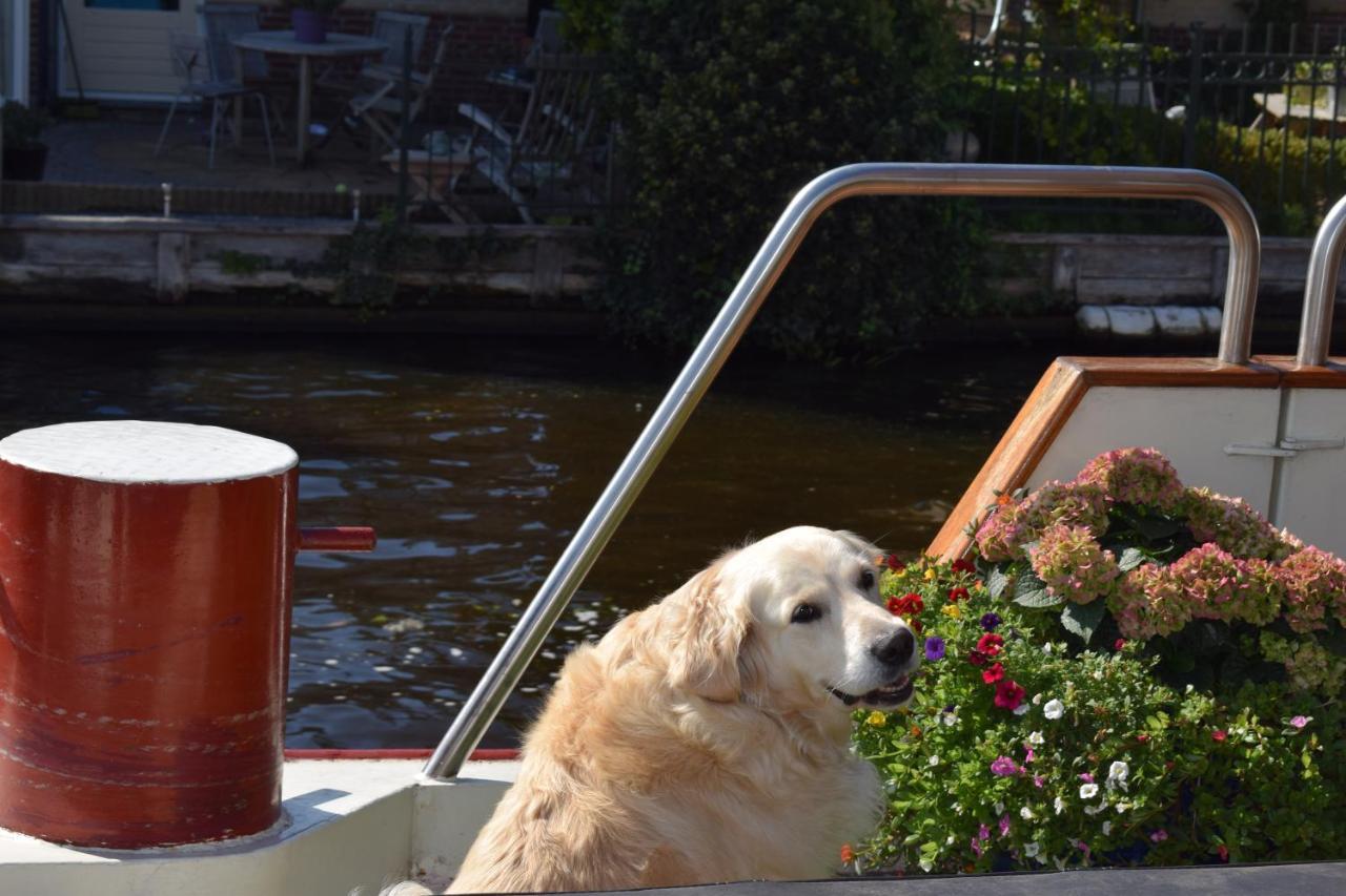 Aurora Bed and Breakfast Schiedam Exteriör bild